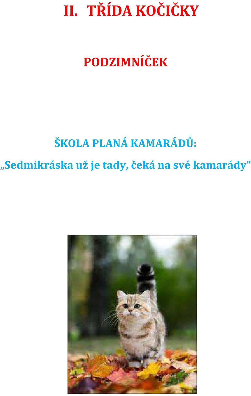 KAMARÁDŮ: Sedmikráska