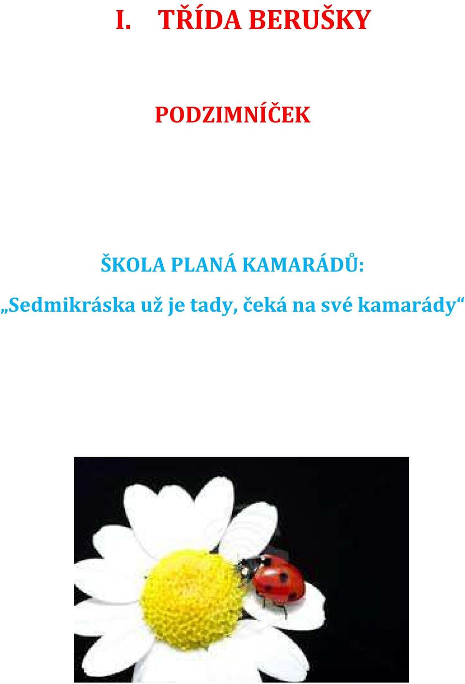 KAMARÁDŮ: Sedmikráska