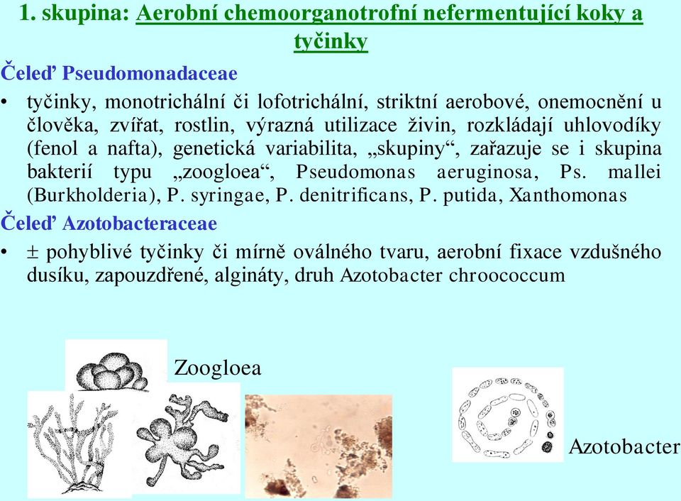 skupina bakterií typu zoogloea, Pseudomonas aeruginosa, Ps. mallei (Burkholderia), P. syringae, P. denitrificans, P.