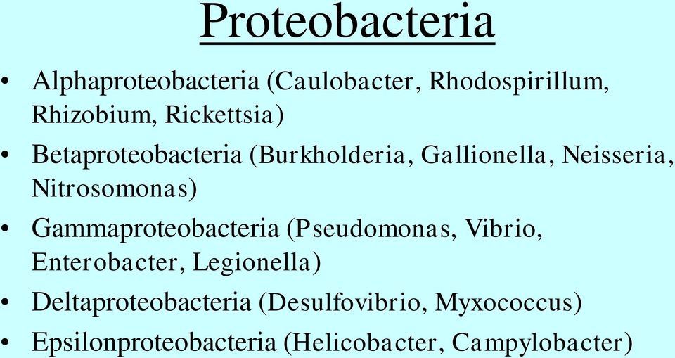 Nitrosomonas) Gammaproteobacteria (Pseudomonas, Vibrio, Enterobacter, Legionella)