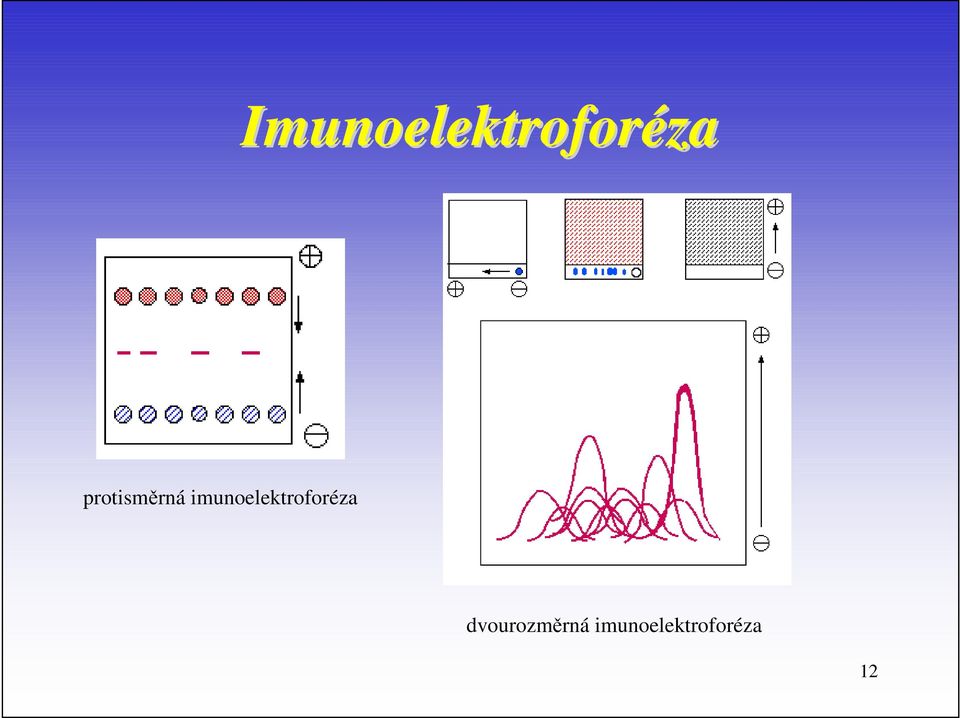 imunoelektroforéza