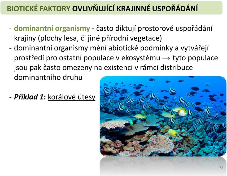 mění abiotické podmínky a vytvářejí prostředí pro ostatní populace v ekosystému tyto populace