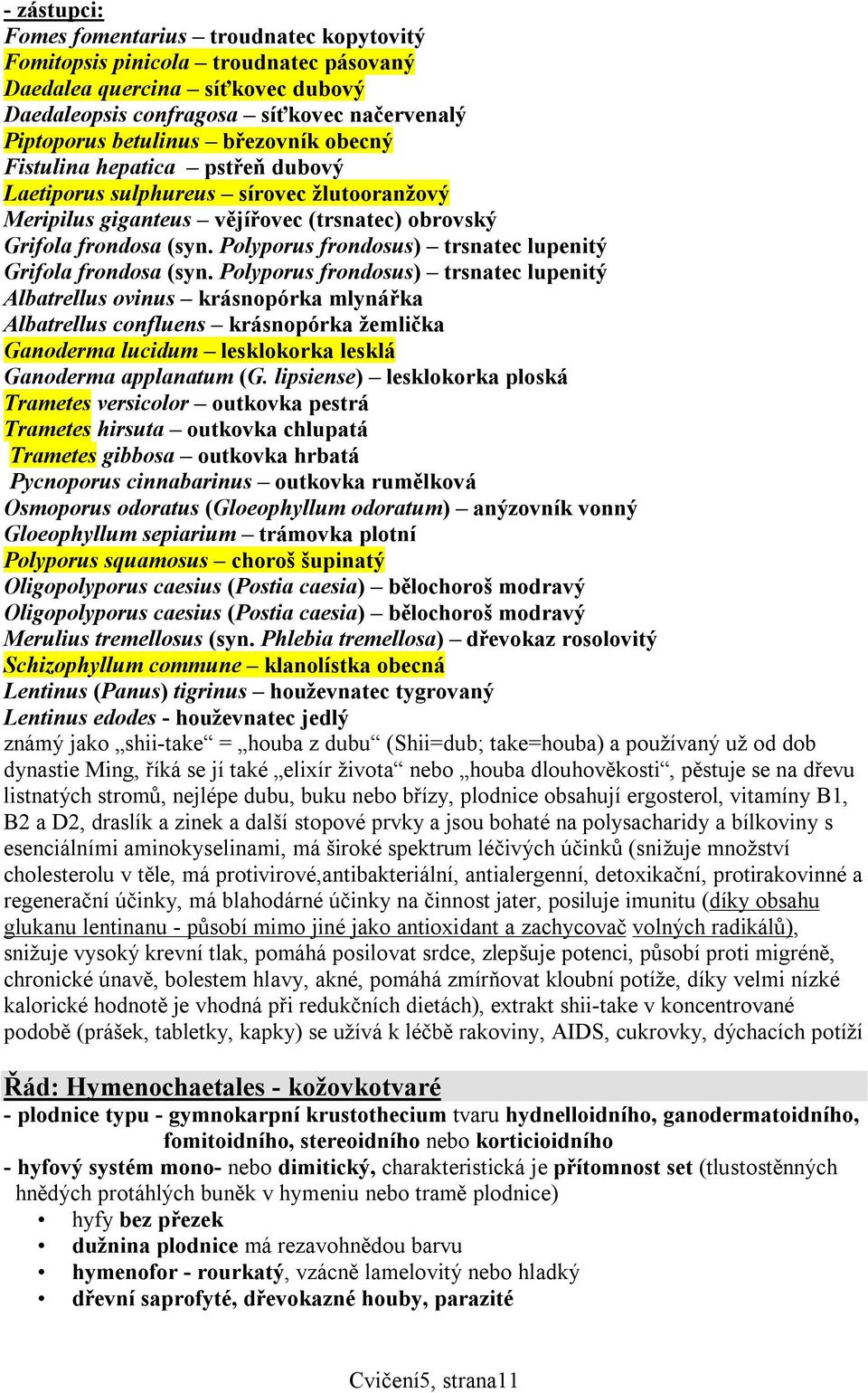 Polyporus frondosus) trsnatec lupenitý Grifola frondosa (syn.