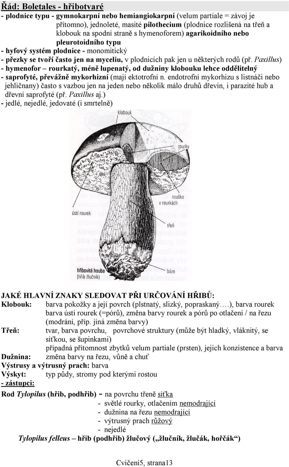 Paxillus) - hymenofor rourkatý, méně lupenatý, od dužniny klobouku lehce oddělitelný - saprofyté, převážně mykorhizní (mají ektotrofní n.