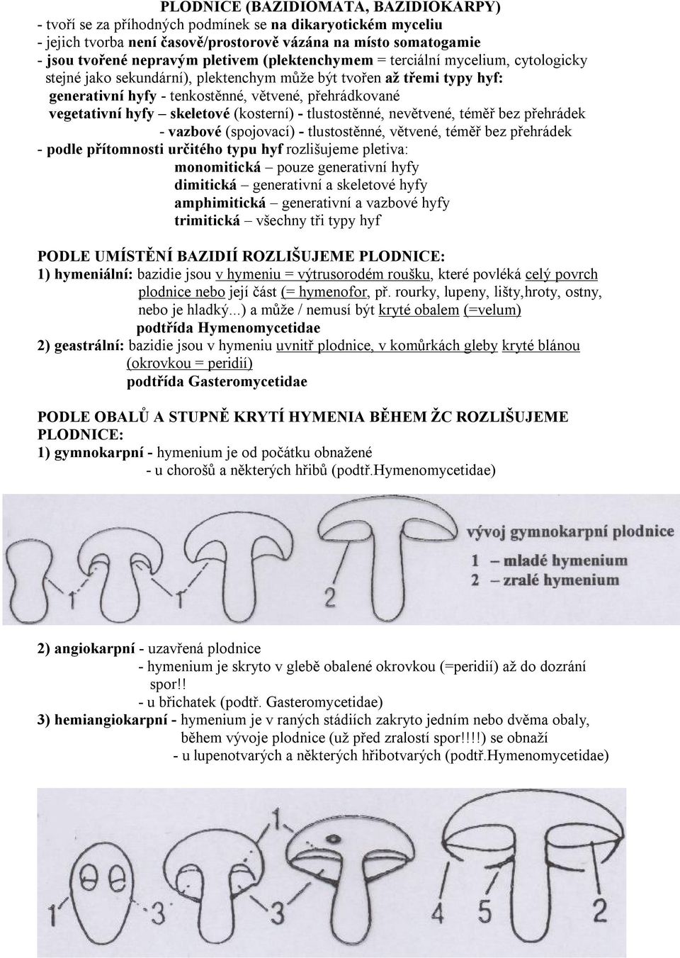 skeletové (kosterní) - tlustostěnné, nevětvené, téměř bez přehrádek - vazbové (spojovací) - tlustostěnné, větvené, téměř bez přehrádek - podle přítomnosti určitého typu hyf rozlišujeme pletiva: