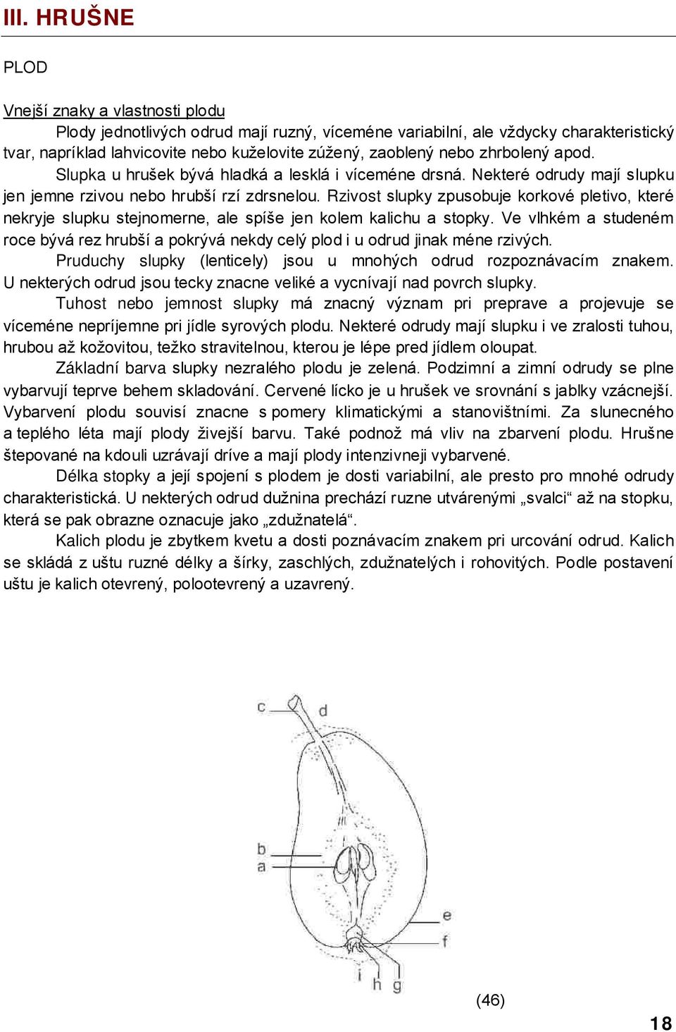 Rzivost slupky zpusobuje korkové pletivo, které nekryje slupku stejnomerne, ale spíše jen kolem kalichu a stopky.