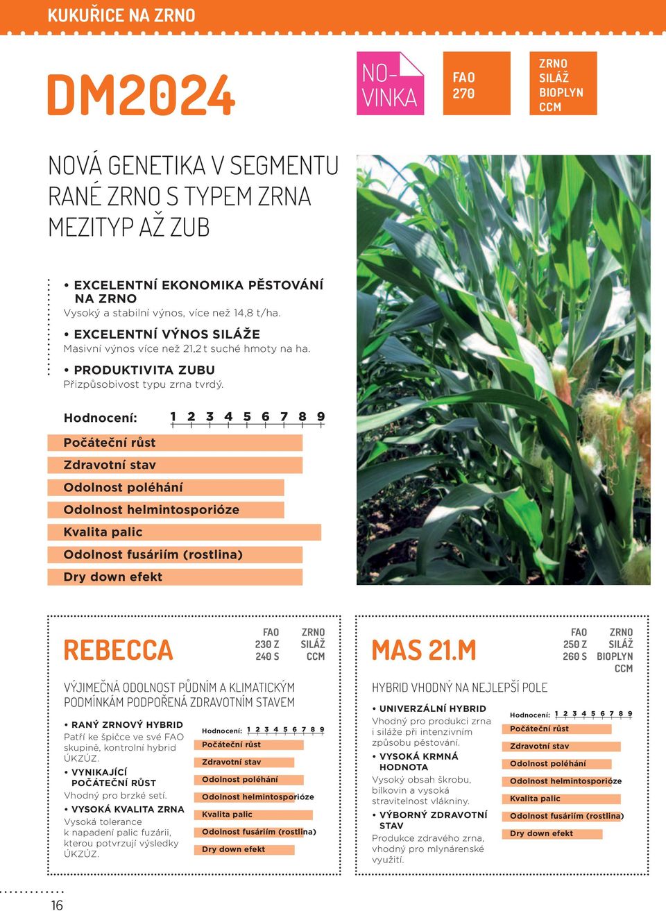 Hodnocení: 1 2 3 4 5 6 7 8 9 Počáteční růst Odolnost helmintosporióze Kvalita palic Odolnost fusáriím (rostlina) Dry down efekt REBECCA RANÝ ZRNOVÝ HYBRID Patří ke špičce ve své skupině, kontrolní