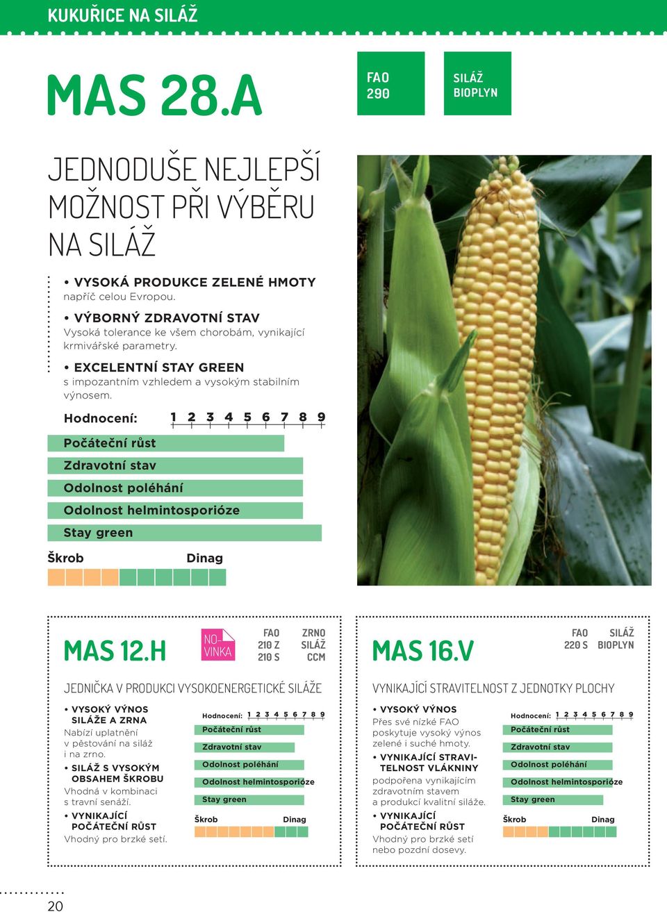 290 SILÁŽ BIOPLYN Hodnocení: 1 2 3 4 5 6 7 8 9 Počáteční růst Odolnost helmintosporióze Stay green Škrob Dinag 210 Z ZRNO SILÁŽ NO- MAS 12.H VINKA 210 S CCM MAS 16.