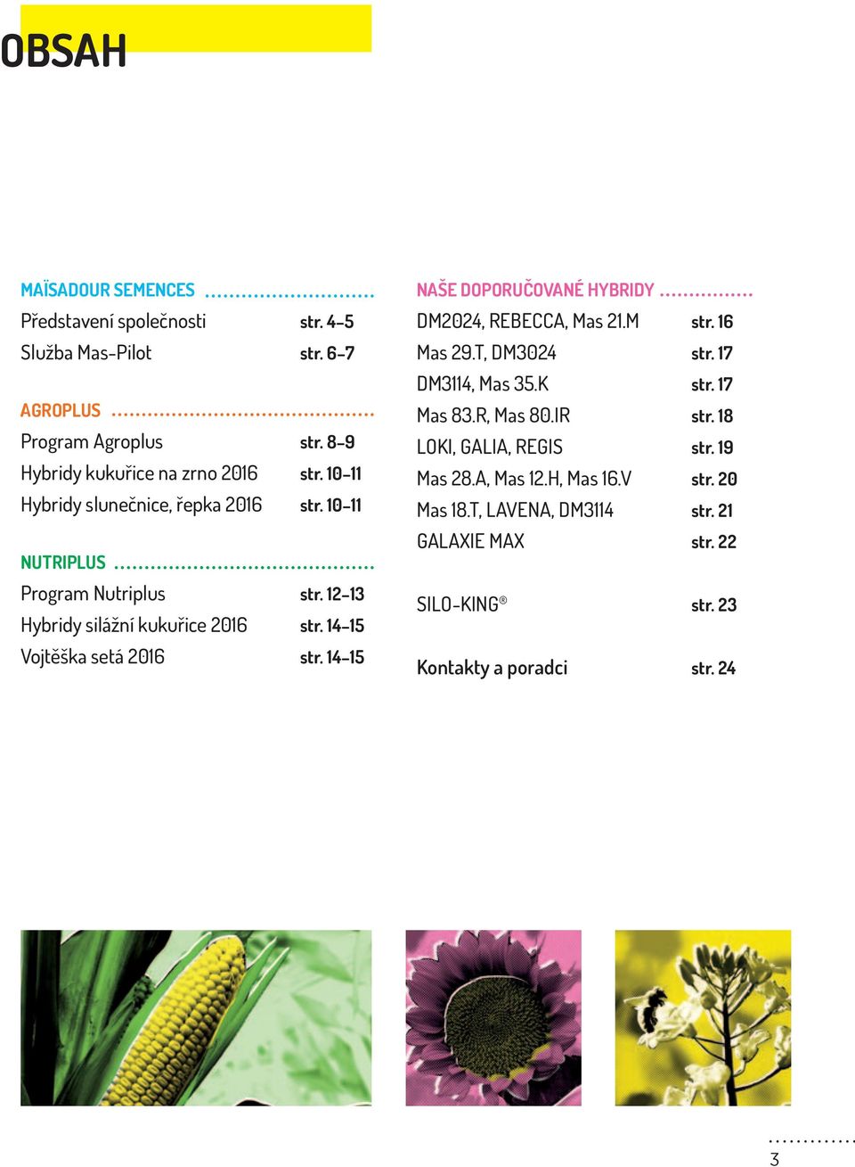 14 15 NAŠE DOPORUČOVANÉ HYBRIDY DM2024, REBECCA, Mas 21.M str. 16 Mas 29.T, DM3024 str. 17 DM3114, Mas 35.K str. 17 Mas 83.R, Mas 80.IR str.