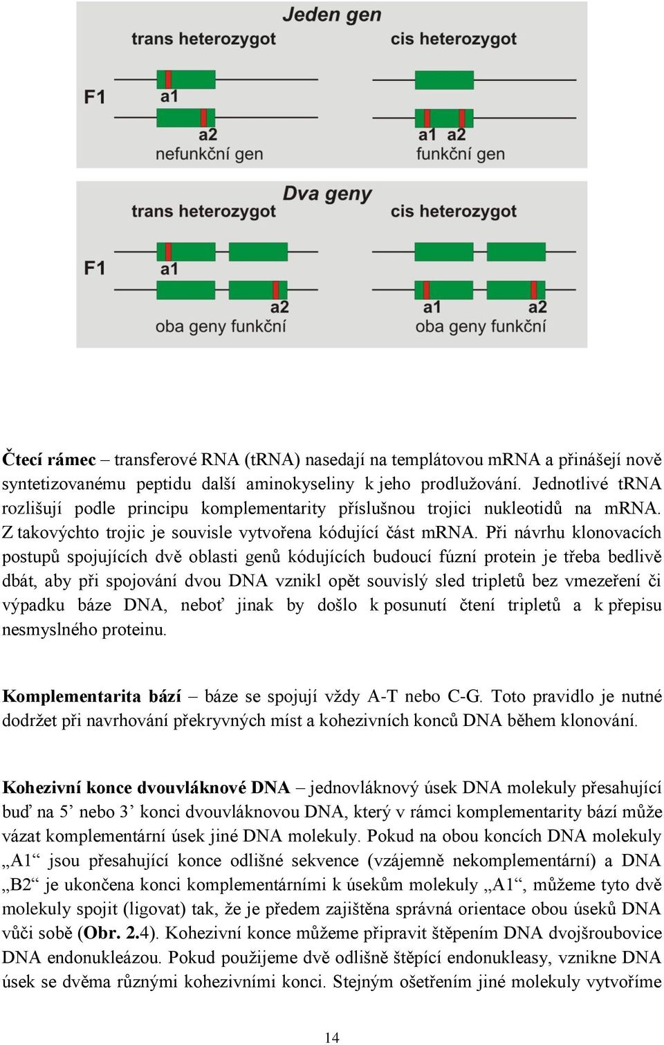 Při návrhu klonovacích postupů spojujících dvě oblasti genů kódujících budoucí fúzní protein je třeba bedlivě dbát, aby při spojování dvou DNA vznikl opět souvislý sled tripletů bez vmezeření či