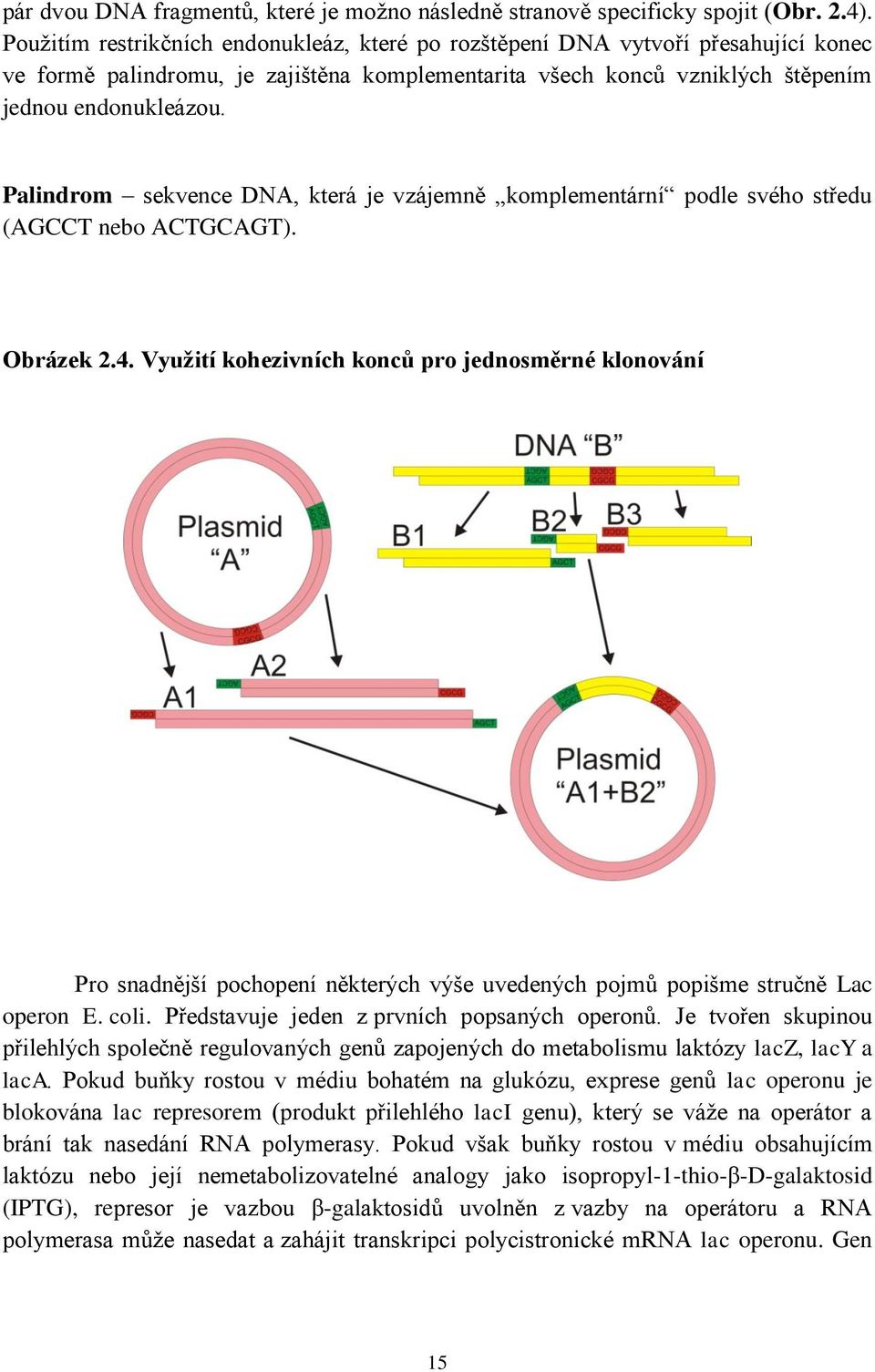 Palindrom sekvence DNA, která je vzájemně komplementární podle svého středu (AGCCT nebo ACTGCAGT). Obrázek 2.4.