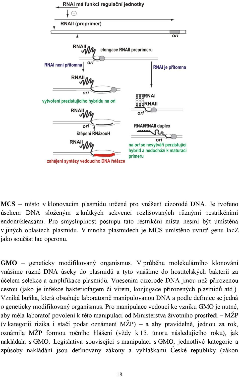 GMO geneticky modifikovaný organismus. V průběhu molekulárního klonování vnášíme různé DNA úseky do plasmidů a tyto vnášíme do hostitelských bakterií za účelem selekce a amplifikace plasmidů.