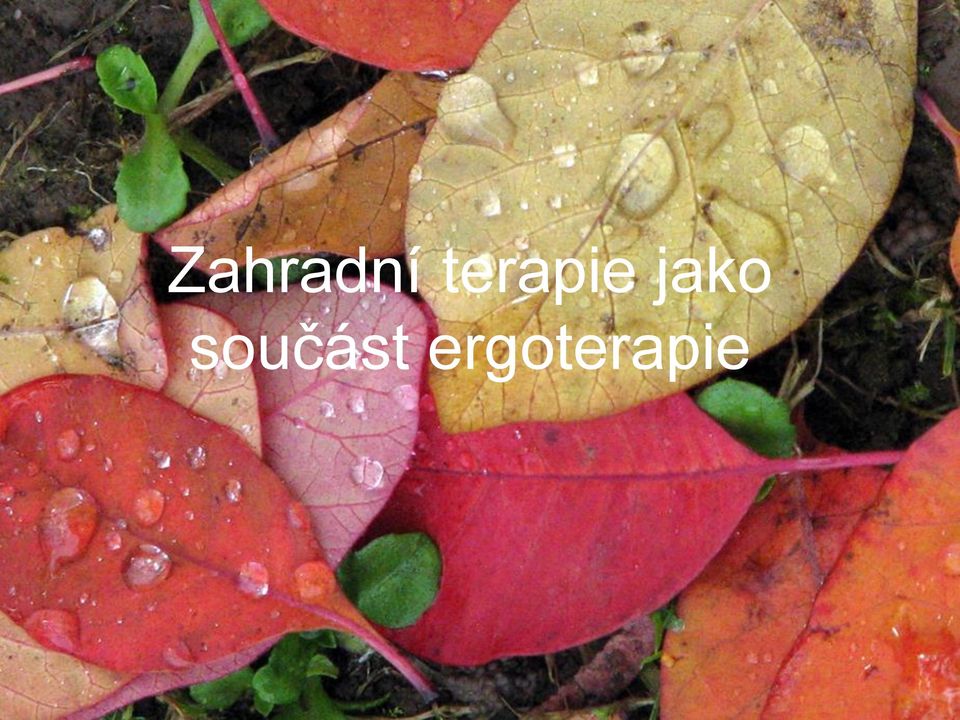 jako