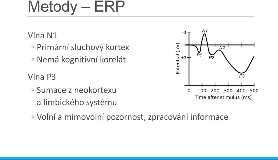 Sumace z neokortexu a limbického systému