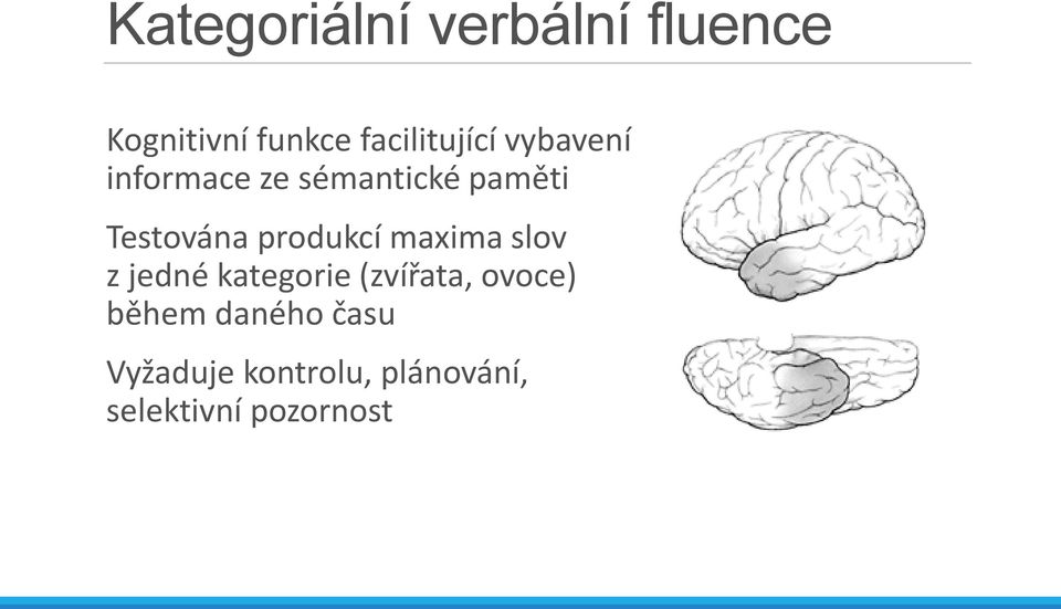 Testována produkcí maxima slov z jedné kategorie (zvířata,