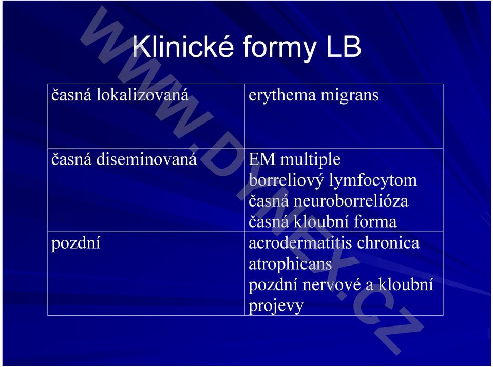 lymfocytom časná neuroborrelióza časná kloubní forma