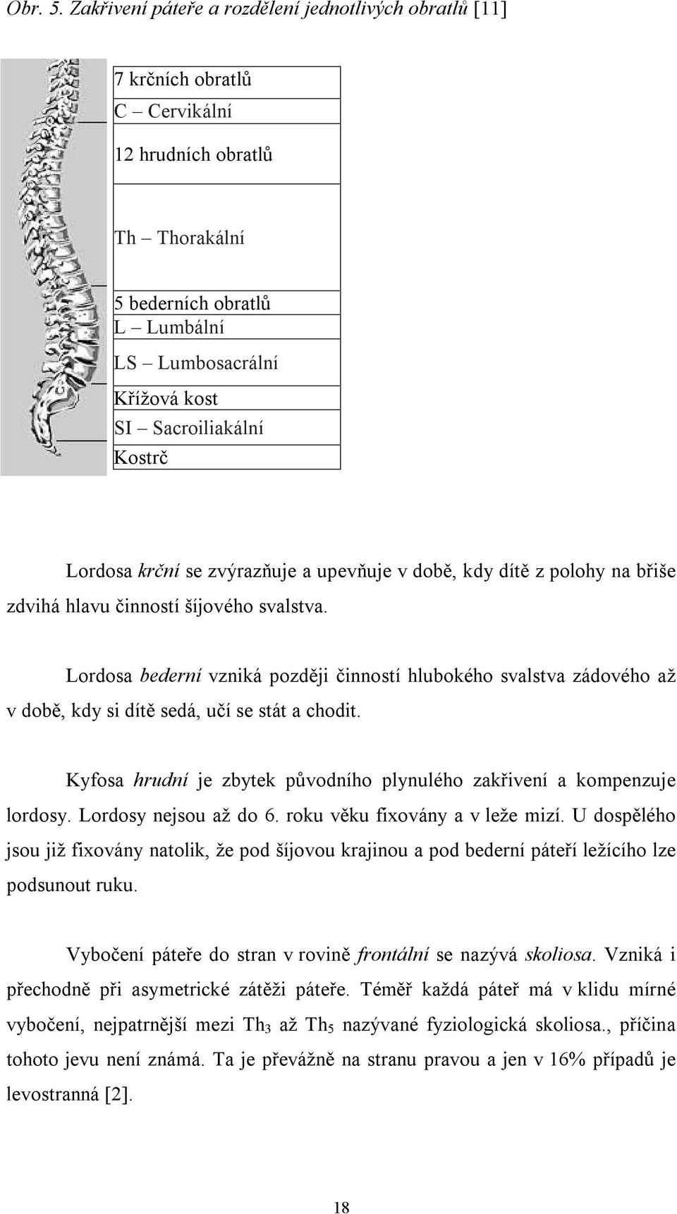 Kostrč Lordosa krční se zvýrazňuje a upevňuje v době, kdy dítě z polohy na břiše zdvihá hlavu činností šíjového svalstva.