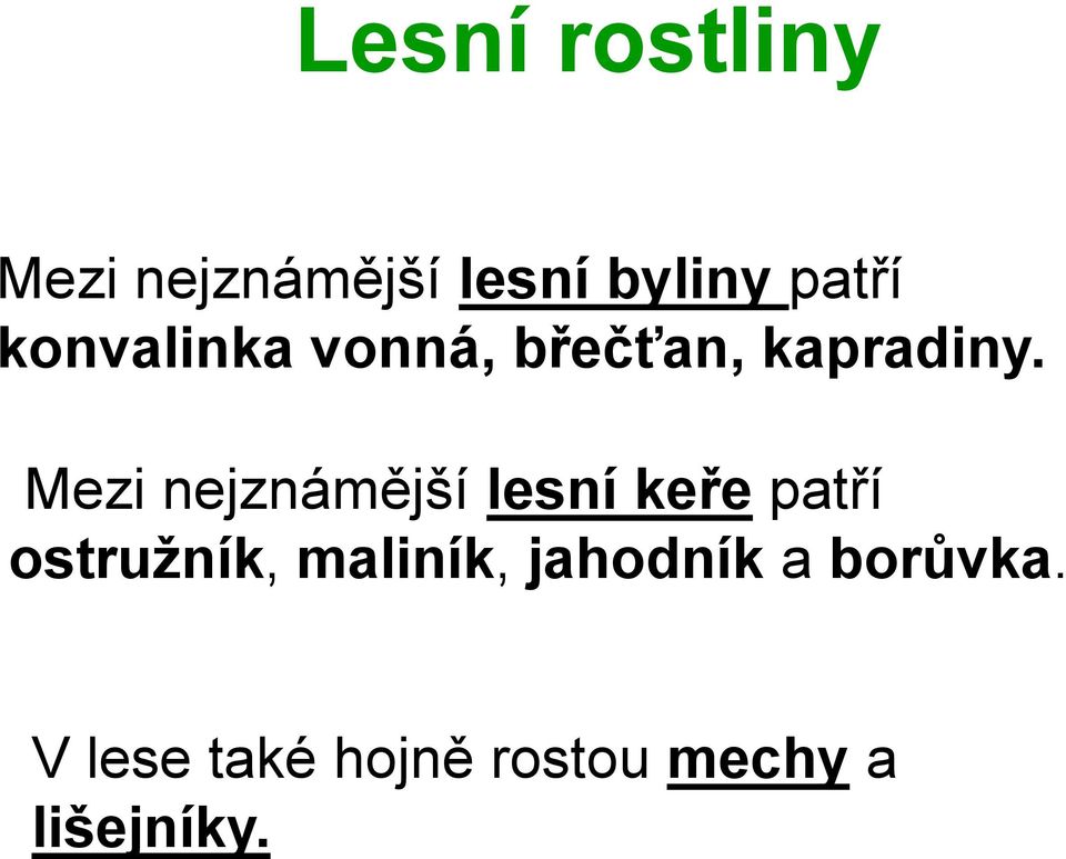 Mezi nejznámější lesní keře patří ostružník,