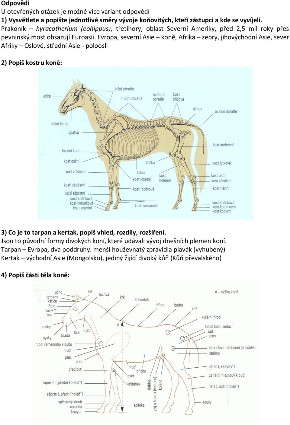 Evropa, severní Asie koně, Afrika zebry, jihovýchodní Asie, sever Afriky Oslové, střední Asie - poloosli 2) Popiš kostru koně: 3) Co je to tarpan a kertak, popiš vhled, rozdíly,