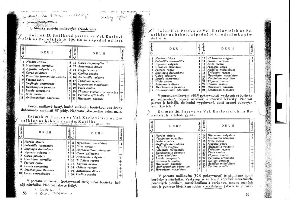 K a r lov i cí c h na B e n eš k á c h (U,AJ< u_c) 91.?, 100 m z á pad n e o dle s a.. 58, o R U H Nardus stricta Vaccinium myrtil1us Agrostis vulgaris ' ': o,!