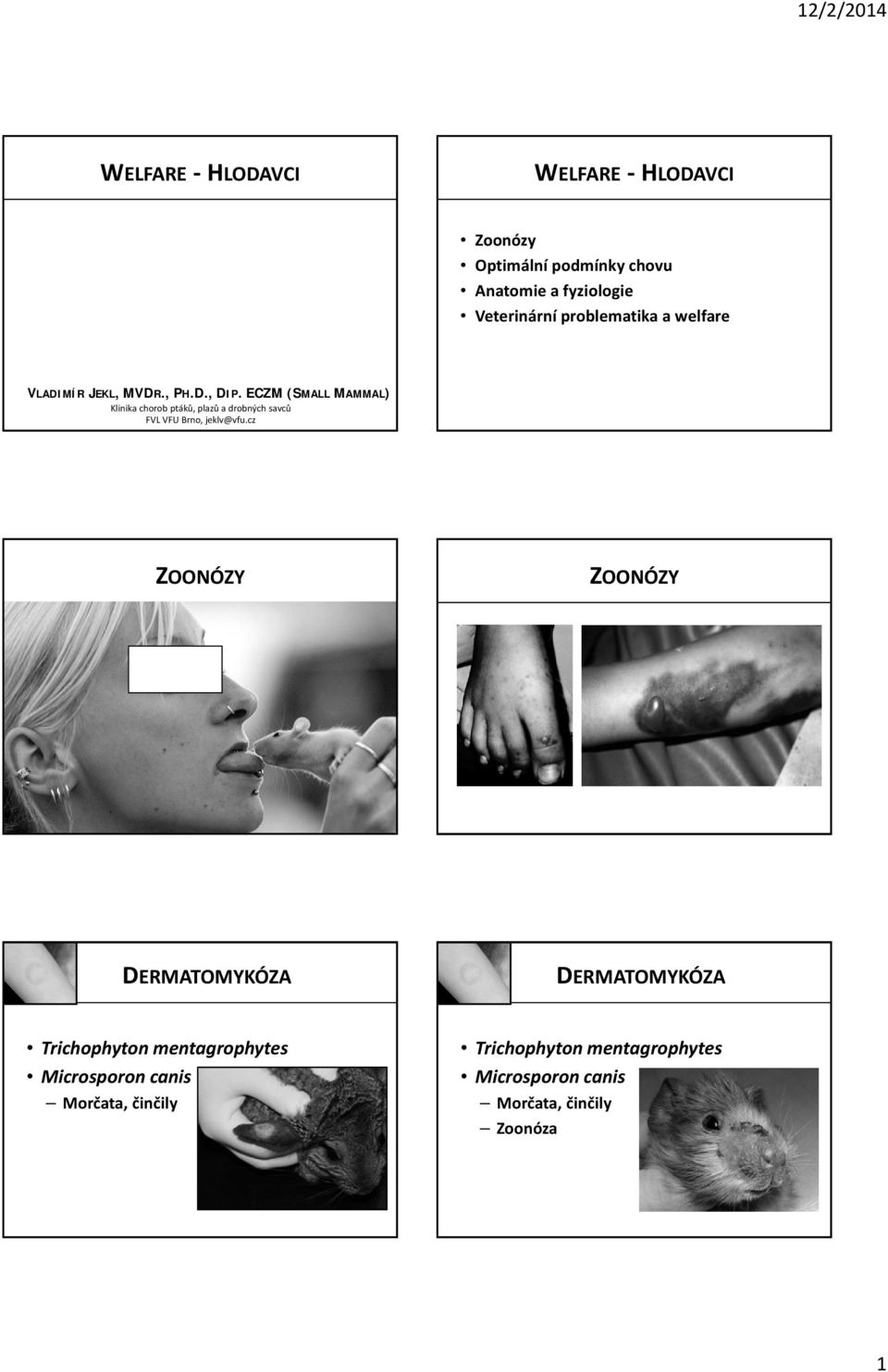 ECZM (SMALL MAMMAL) Klinika chorob ptáků, plazů a drobných savců FVL VFU Brno, jeklv@vfu.