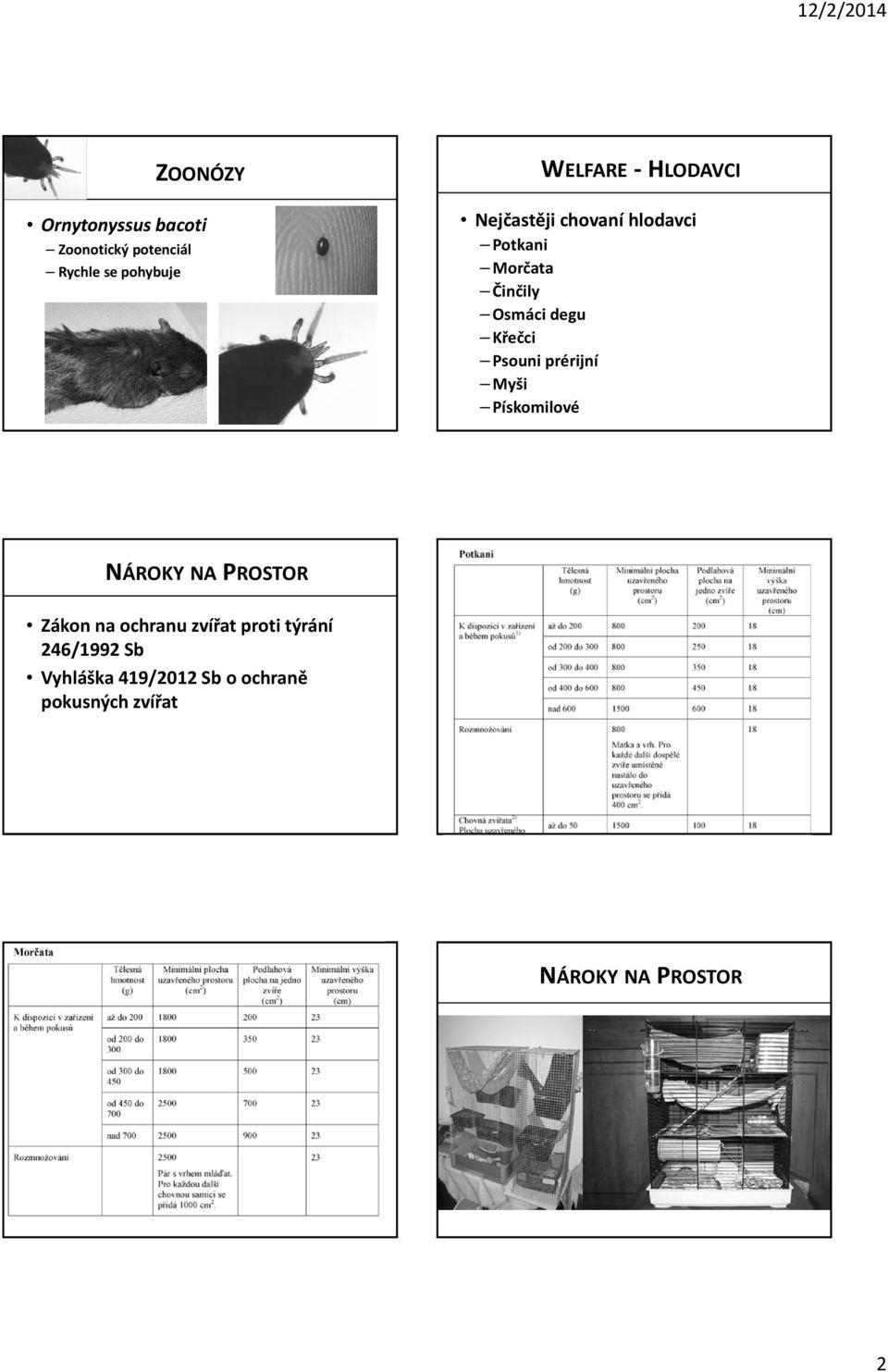 Osmáci degu Křečci Psouni prérijní Myši Pískomilové Zákon na ochranu