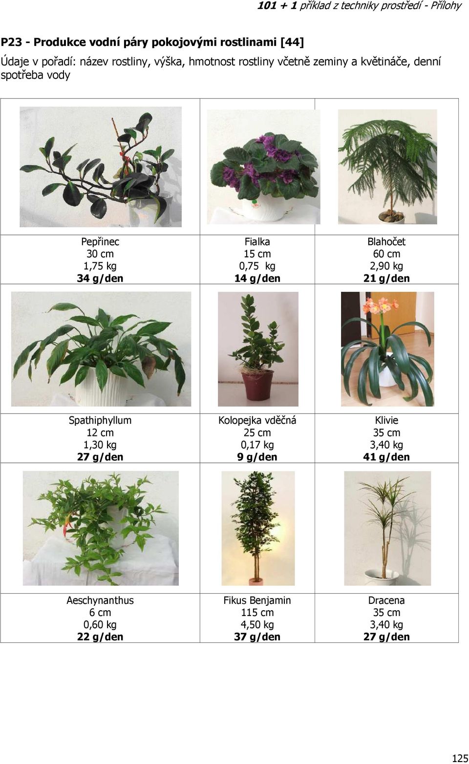 60 cm 2,90 kg 21 g/den Spathiphyllum 12 cm 1,30 kg 27 g/den Kolopejka vděčná 25 cm 0,17 kg 9 g/den Klivie 35 cm