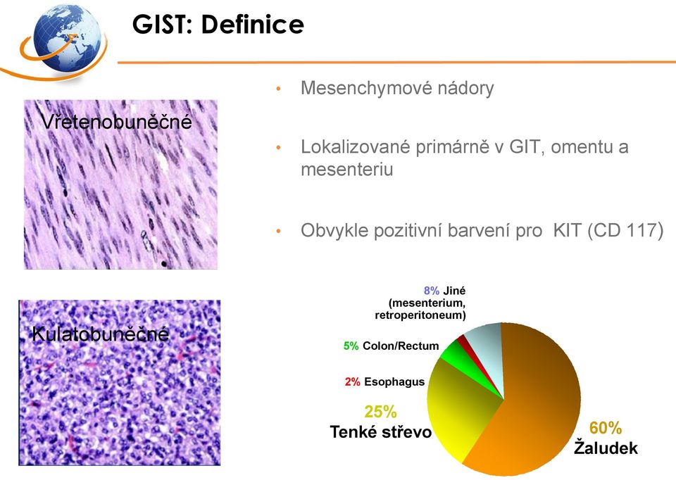 pro KIT (CD 117) Kulatobuněčné 8% Jiné (mesenterium,