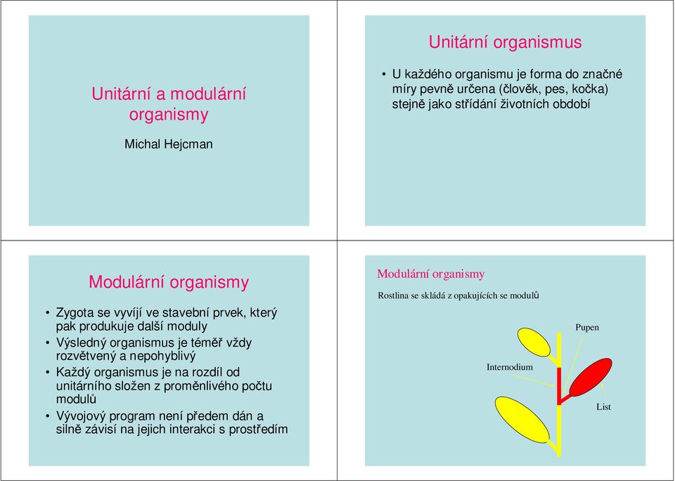 organismus je téměř vždy rozvětvený a nepohyblivý Každý organismus je na rozdíl od unitárního složen z proměnlivého počtu modulů Vývojový