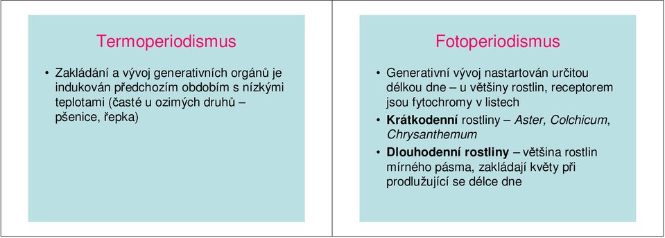 délkou dne u většiny rostlin, receptorem jsou fytochromy v listech Krátkodenní rostliny Aster,