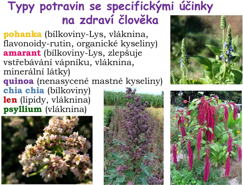 (bílkoviny-lys, zlepšuje vstřebávání vápníku, vláknina, minerální látky)