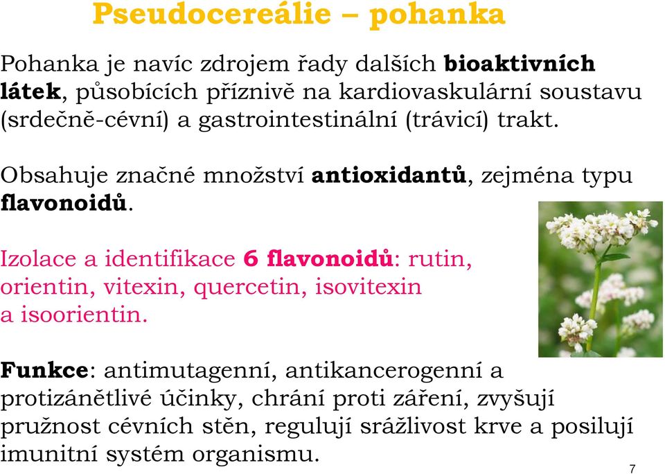 Izolace a identifikace 6 flavonoidů: rutin, orientin, vitexin, quercetin, isovitexin a isoorientin.