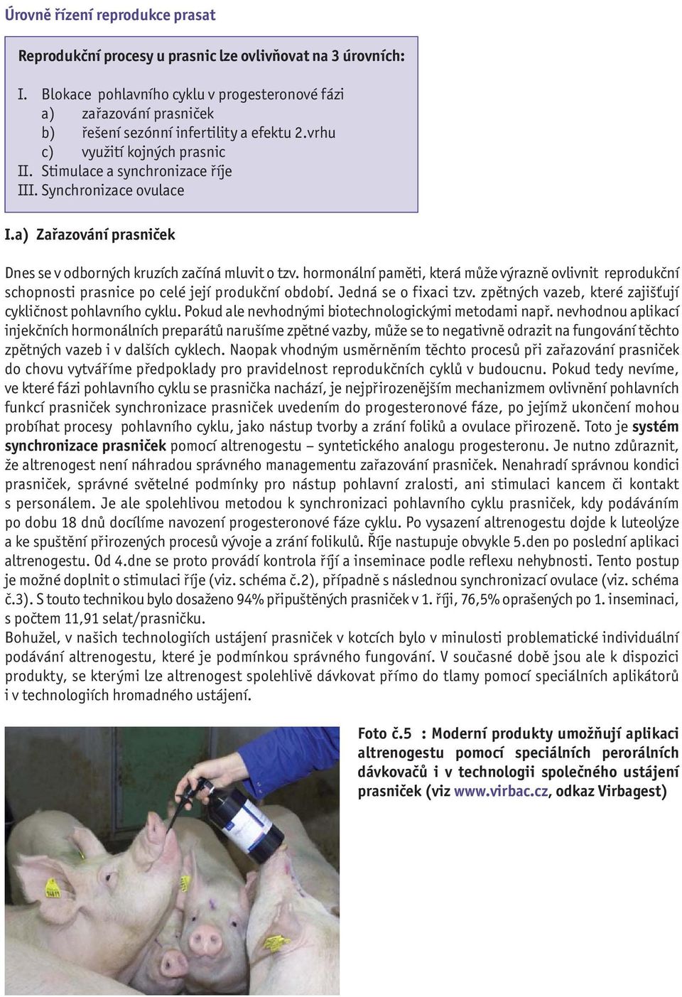 Synchronizace ovulace I.a) Zařazování prasniček Dnes se v odborných kruzích začíná mluvit o tzv.