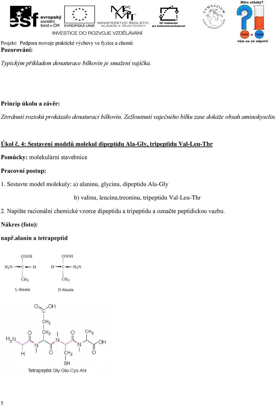 Úkol č. 4: Sestavení modelů molekul dipeptidu Ala-Gly, tripeptidu Val-Leu-Thr Pomůcky: molekulární stavebnice 1.