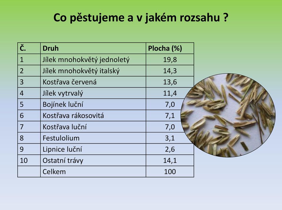 italský 14,3 3 Kostřava červená 13,6 4 Jílek vytrvalý 11,4 5 Bojínek luční