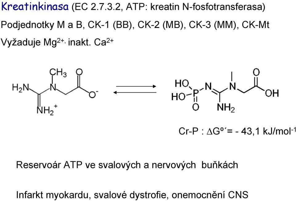 CK-2 (MB), CK-3 (MM), CK-Mt Vyžaduje Mg 2+, inakt.