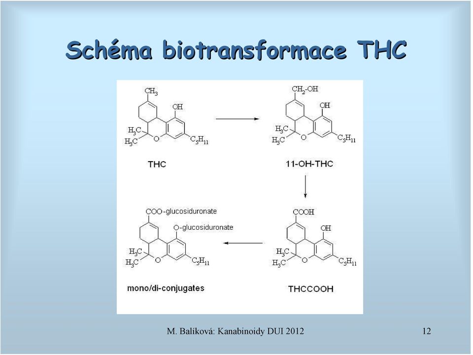 THC M.