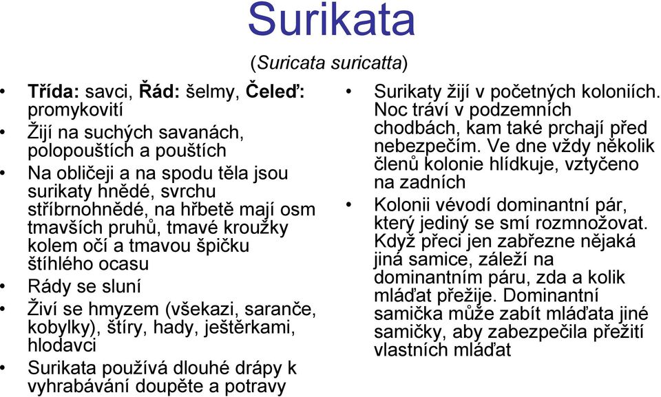 doupěte a potravy Surikata (Suricata suricatta) Surikaty žijí v početných koloniích. Noc tráví v podzemních chodbách, kam také prchají před nebezpečím.