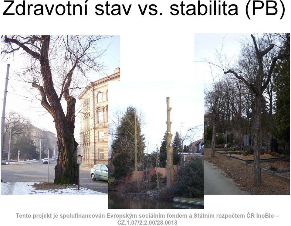 stabilita