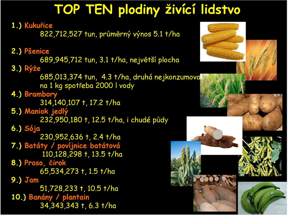 ) Brambory 314,140,107 t, 17.2 t/ha 5.) Maniok jedlý 232,950,180 t, 12.5 t/ha, i chudé půdy 6.) Sója 230,952,636 t, 2.4 t/ha 7.