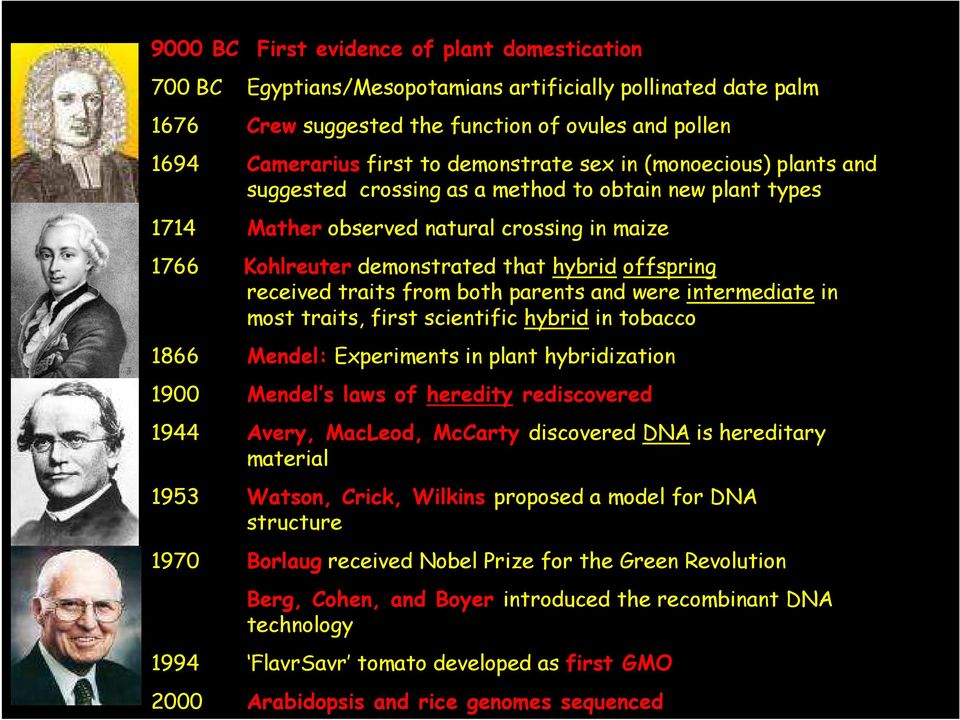 received traits from both parents and were intermediate in most traits, first scientific hybrid in tobacco 1866 Mendel: Experiments in plant hybridization 1900 Mendel s laws of heredity rediscovered