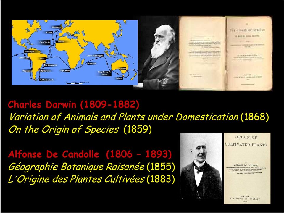 Species (1859) Alfonse De Candolle (1806 1893)