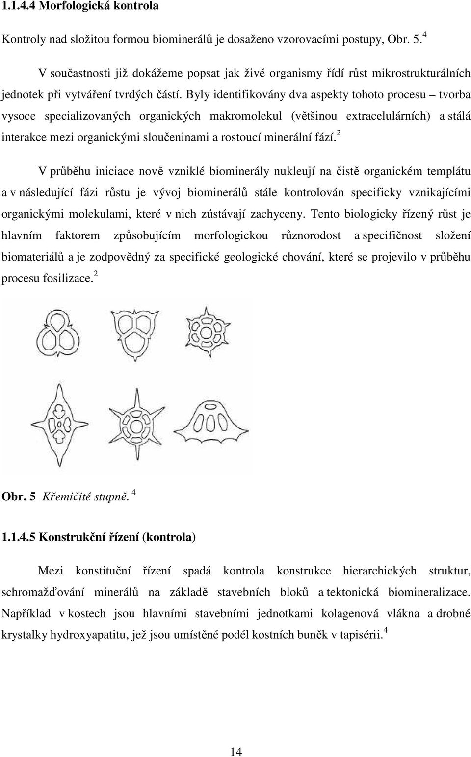 Byly identifikovány dva aspekty tohoto procesu tvorba vysoce specializovaných organických makromolekul (většinou extracelulárních) a stálá interakce mezi organickými sloučeninami a rostoucí minerální