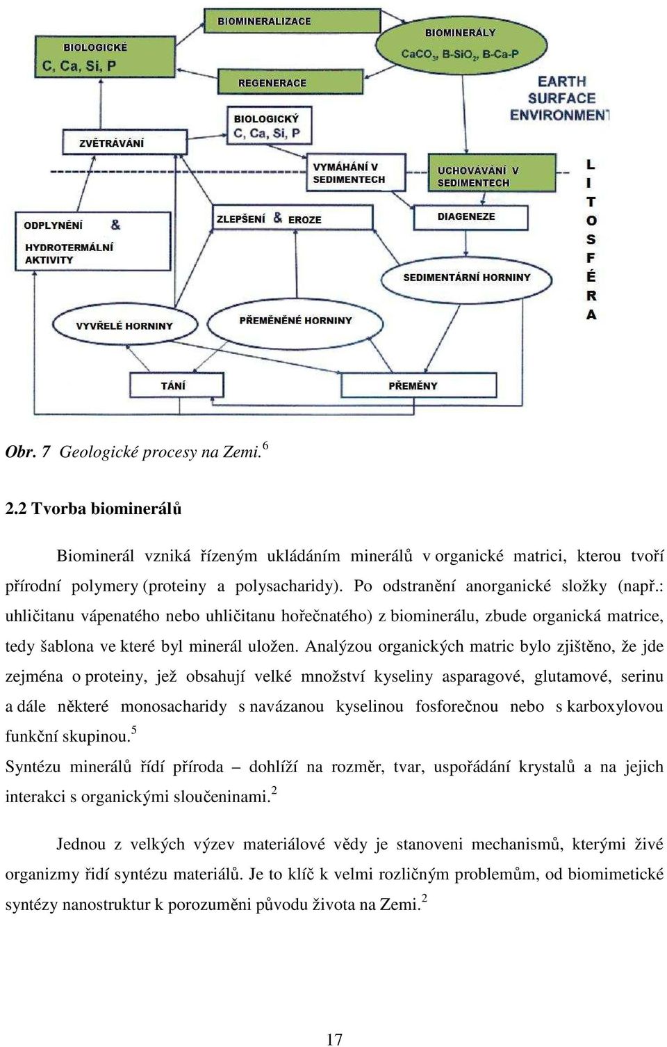 Analýzou organických matric bylo zjištěno, že jde zejména o proteiny, jež obsahují velké množství kyseliny asparagové, glutamové, serinu a dále některé monosacharidy s navázanou kyselinou fosforečnou