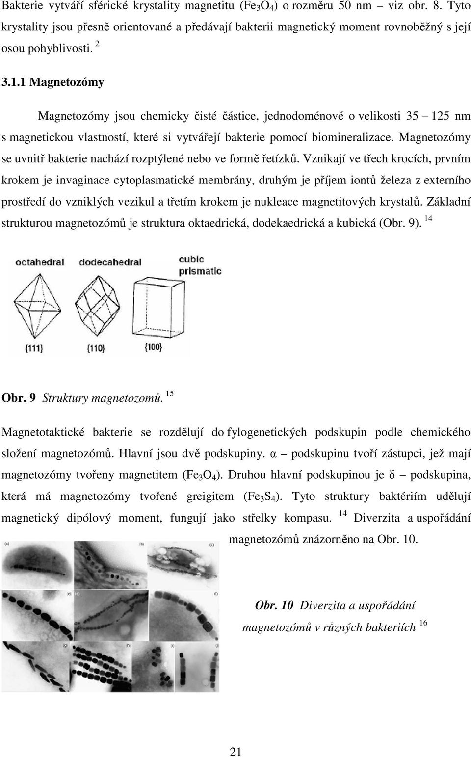 1 Magnetozómy Magnetozómy jsou chemicky čisté částice, jednodoménové o velikosti 35 125 nm s magnetickou vlastností, které si vytvářejí bakterie pomocí biomineralizace.