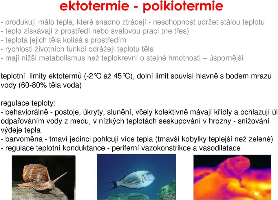 hlavn ě s bodem mrazu vody (60-80% těla voda) regulace teploty: - behaviorálně - postoje, úkryty, slunění, včely kolektivně mávají křídly a ochlazují úl odpařováním vody z medu, v nízkých teplotách