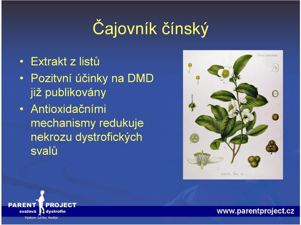 publikovány Antioxidačními