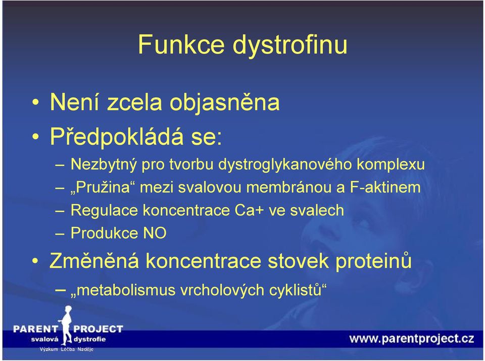 membránou a F-aktinem Regulace koncentrace Ca+ ve svalech