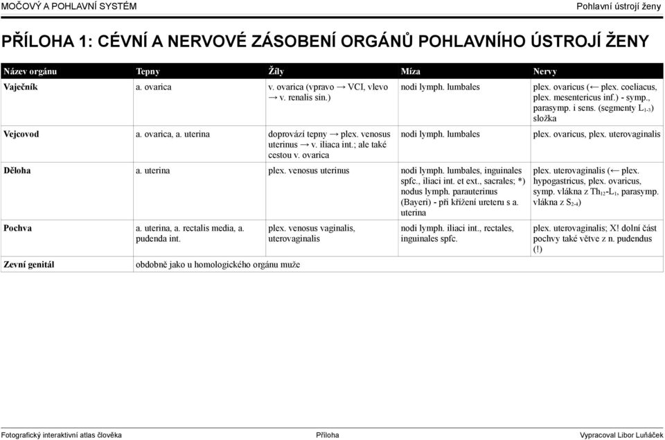 lumbales, inguinales spfc., iliaci int. et ext., sacrales; *) nodus lymph. parauterinus (Bayeri) - při křížení ureteru s a. uterina Pochva a. uterina, a. rectalis media, a. pudenda int.