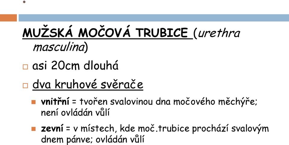 dna močového měchýře; není ovládán vůlí zevní = v